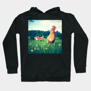 The Secret Life of Chickens Hoodie